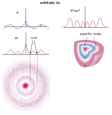 Distribuzione radiale