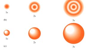 Tutti gli orbitali s hanno la stessa forma: Densità elettronica numero di nodi = n-1 nodi Funzione d onda Distribuzione radiale della probabilità m s, numero quantico di spin può assumere i valori +½