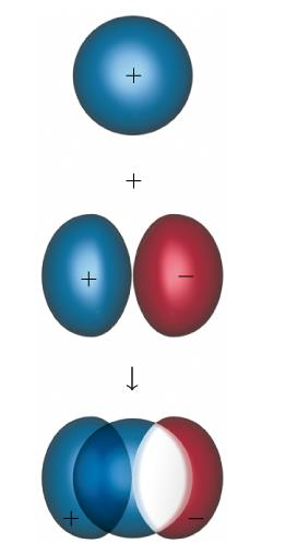 Orbitale 2p Rappresentazioni dell andamento radiale della funzione d onda (Ψ), della densità elettronica (Ψ 2 ).