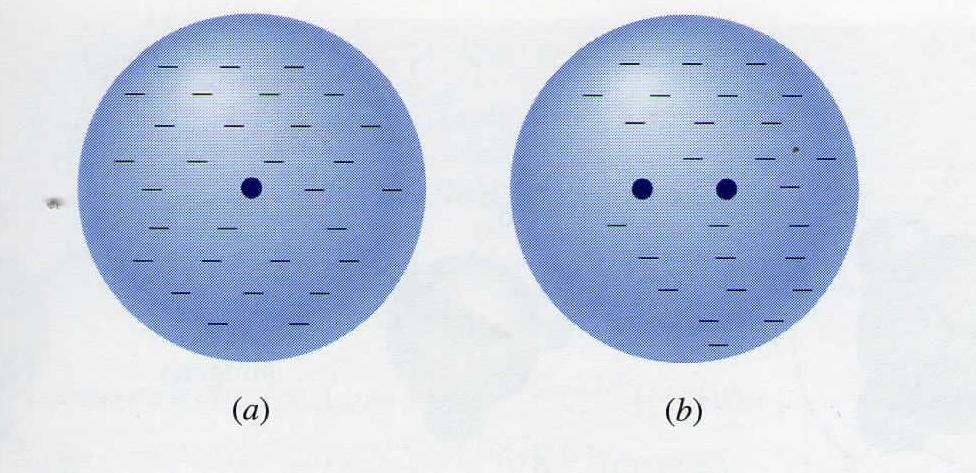 Legami secondari - + m = q d Molecola a dipolo permanente carica distanza tra centro + e centro - DIPOLO FLUTTUANTE Si crea un dipolo