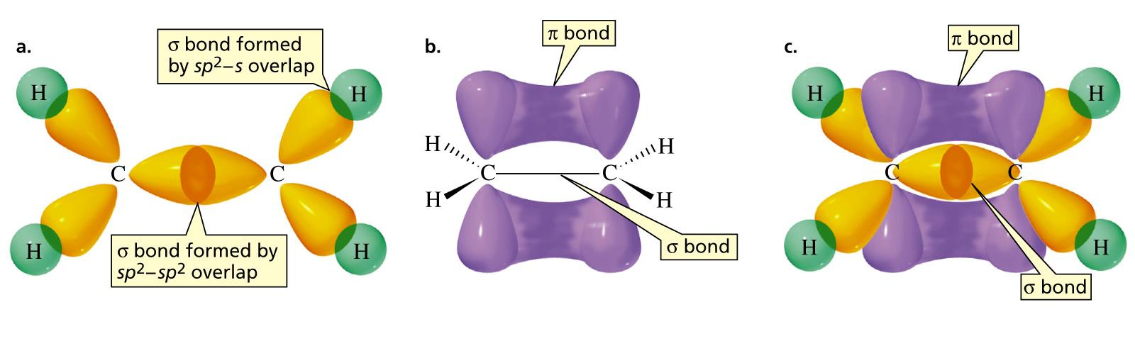 Orbitali ibridi sp 2 Etilene è una molecola piana.