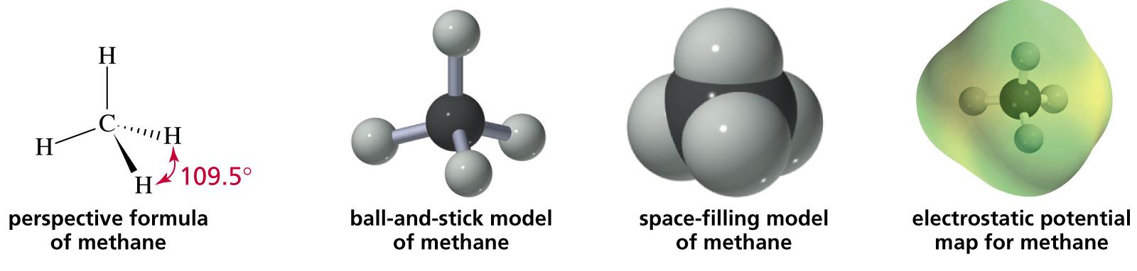 Legami