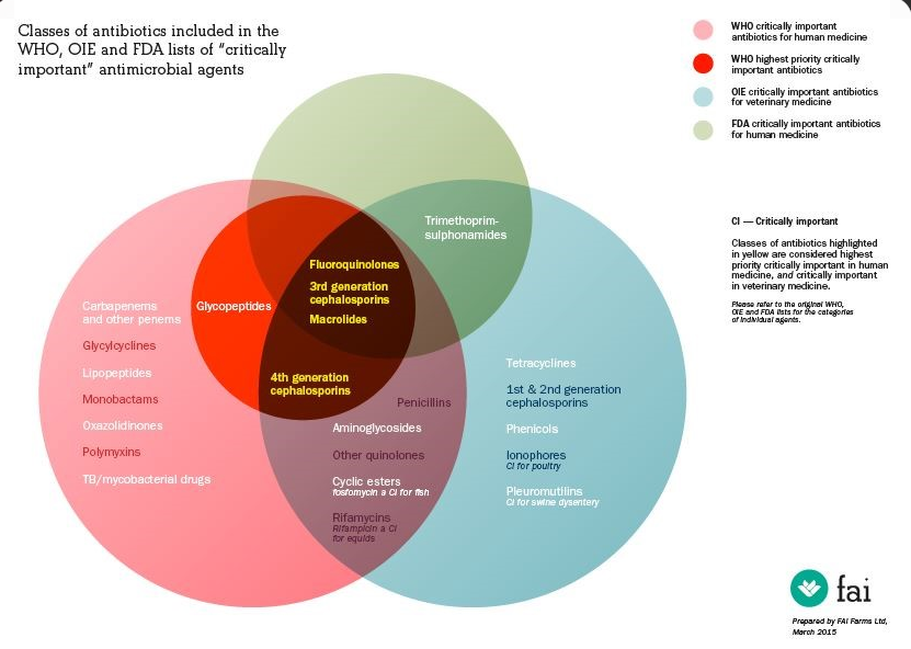 Antibiotici CIA's Antibiotici Importanza