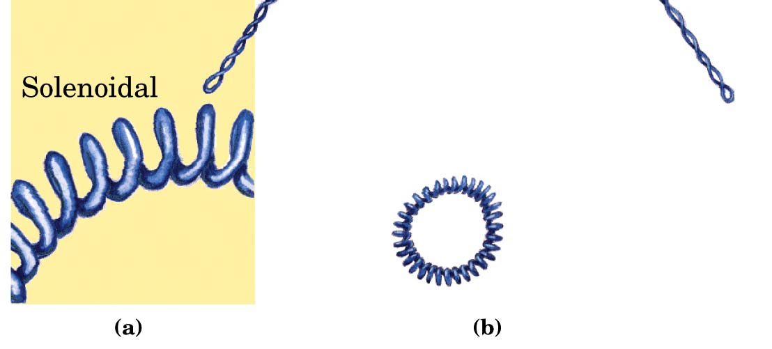 Superavvolgimento plactonemico Superavvolgimento a solenoide In (b) sono rappresentati superavvolgimenti plactomemico