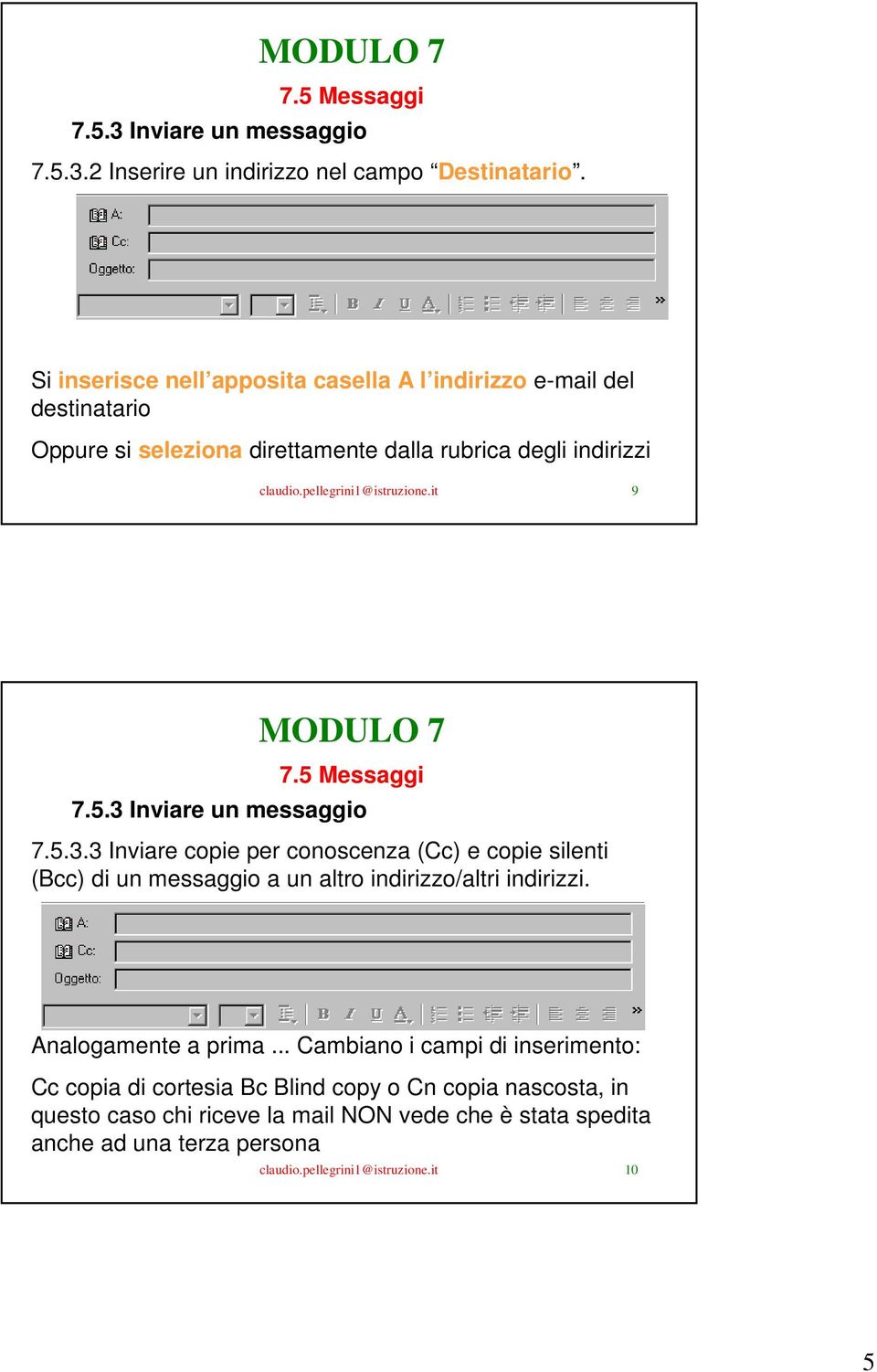 pellegrini1@istruzione.it 9 7.5.3 Inviare un messaggio 7.5.3.3 Inviare copie per conoscenza (Cc) e copie silenti (Bcc) di un messaggio a un altro indirizzo/altri indirizzi.