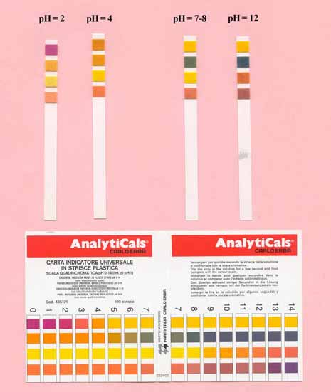 LA CHIMICA E L ACIDITL ACIDITÀ Gli indicatori di ph sono