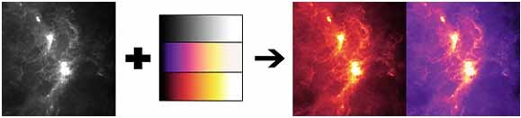 ASTRONOMIA 2 Metodo: si assegnano colori diversi, a piacere, a diversi