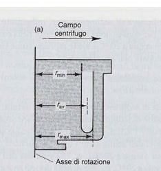 Tipi di rotore I rotori ad angolo fisso hanno piccole differenze tra rmax e rmin Il tempo richiesto per la sedimentazione è minore per rotori ad angolo fisso I rotori ad angolo fisso sono più pesanti