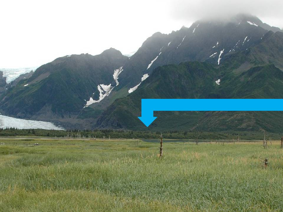 PEDERSEN GLACIER, AK 1920