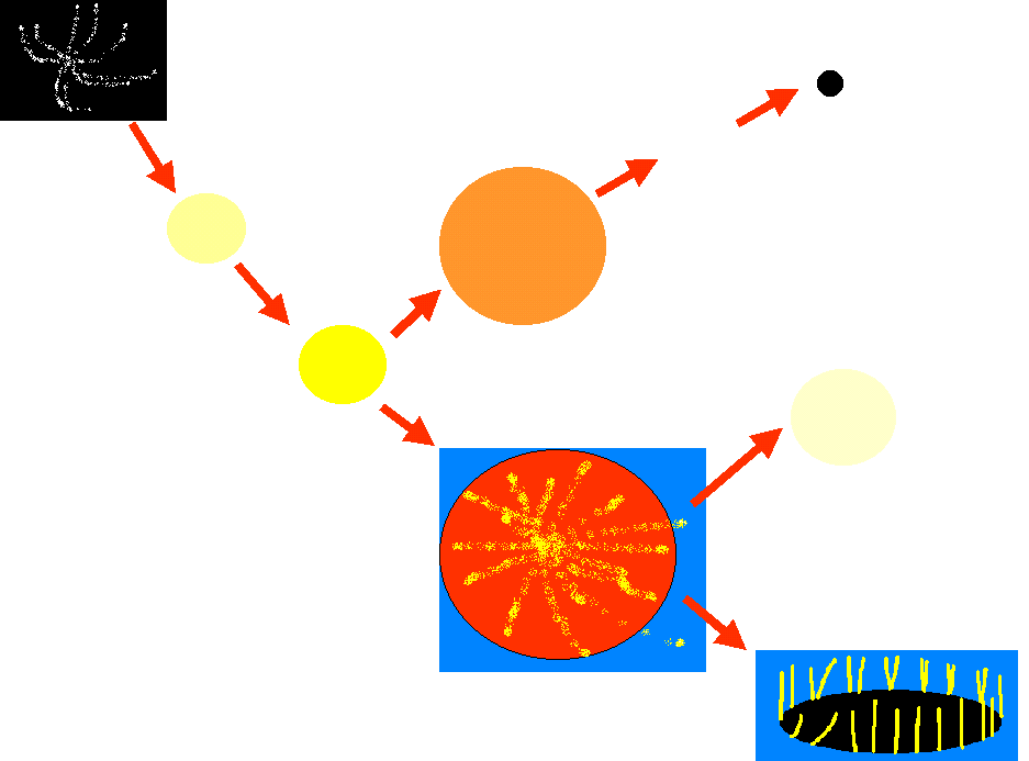 STELLE La stella è un corpo celeste che brilla di luce propria. E formata da gas e polveri che sono in continuo movimento ed esplodono per le reazioni nucleari che avvengono dentro.