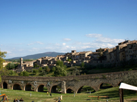 Val delsa, con le bellezze architettoniche di Colle Alta e lindustria del cristallo. Si trova a nord della provincia di Siena, lungo la strada che collega il capoluogo di provincia a Firenze.