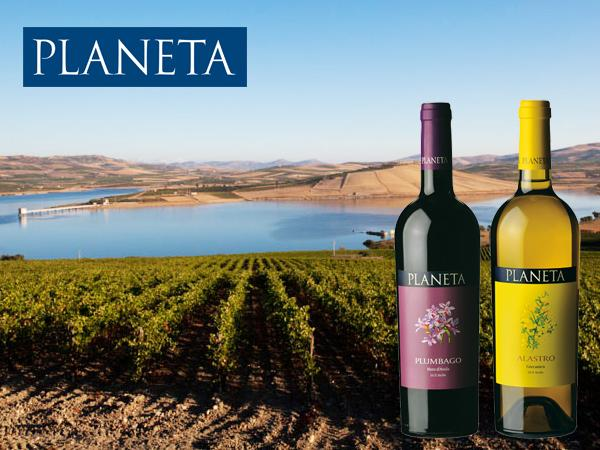 Planeta 173 Planeta è un produttore di vino siciliano nato nel 1995 e vanta una tradizione che si tramanda da cinquecento anni nell area tra Sambuca di Sicilia e Menfi.