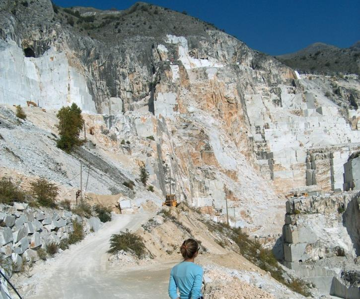 Rilevamenti vegetazionali per il recupero delle cave dismesse e per il monitoraggio della stabilità dei versanti nei bacini marmiferi di Carrara