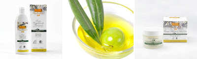 L'olivo è uno degli elementi più caratteristici del paesaggio toscano. Dai suoi frutti si ricava un olio fantastico, ottimo sia per l'uso alimentare che per quello cosmetico.