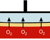 Misura della po 2 Anodo(+): Ag/AgCl (ossidazione dell Ag) Amperometro I Catodo( ): filo di platino in vetro (riduzione dell ossigeno) Ag Ag + + e - 2H O Pt 2H