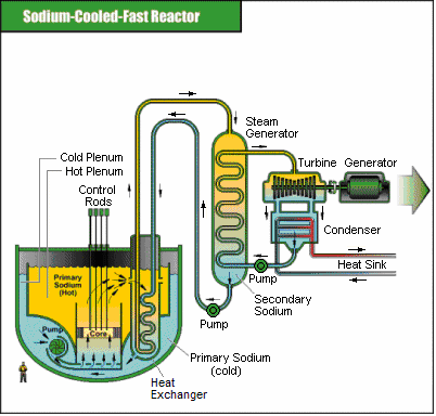 Reattori veloci raffreddati al sodio (Sodium-cooled Fast Reactors - SFR) Questa tecnologia può contare su una lunga e ampia esperienza in materia di reattori con neutroni veloci.