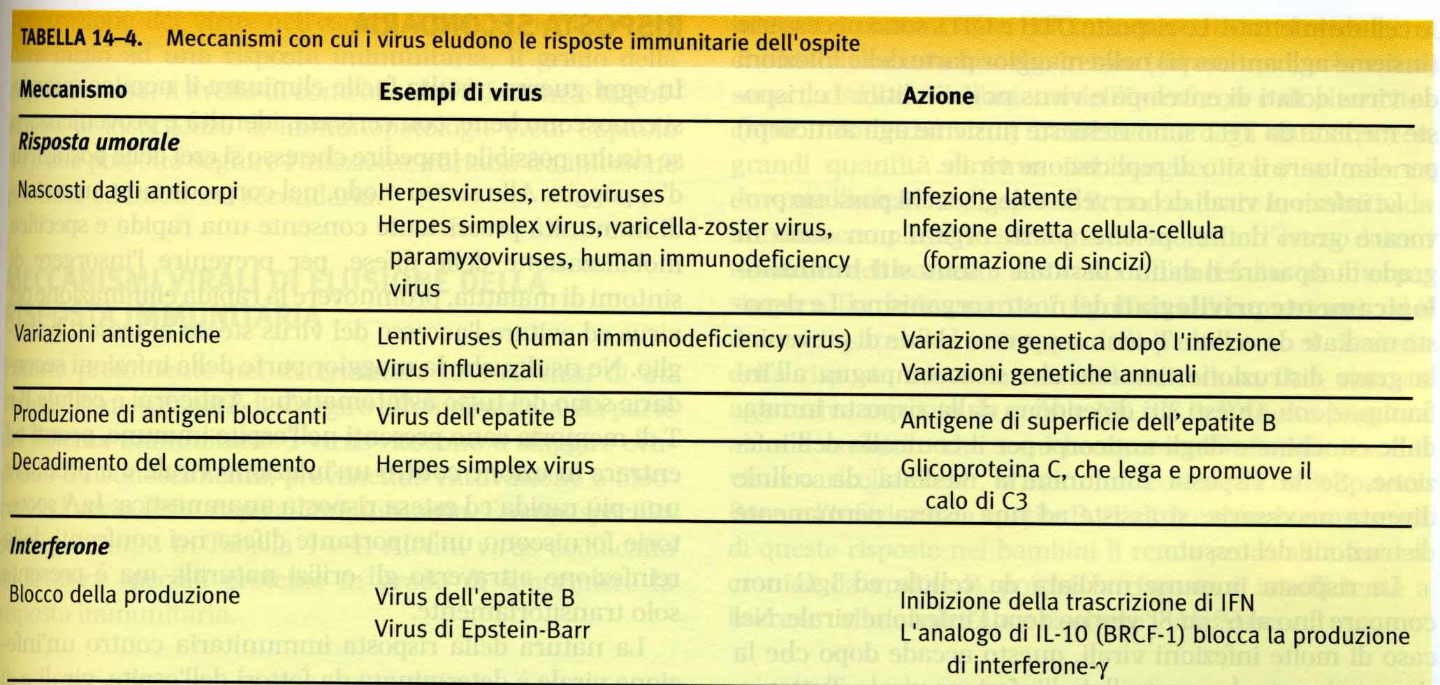 Elusione virale delle risposte immunitarie - 1 Un fattore importante della virulenza di un virus è la sua capacità di sfuggire all
