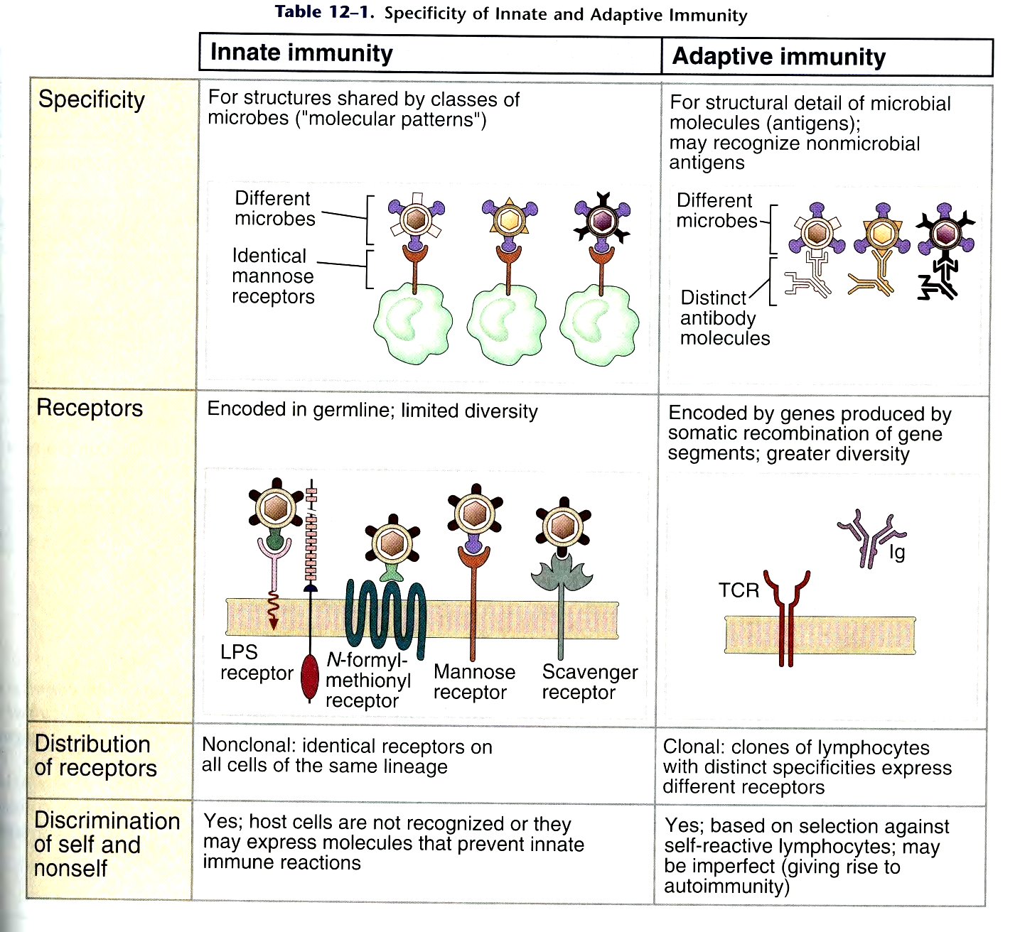 SPECIFICITY OF INNATE AND ADAPTIVE IMMUNITY and for