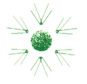 ISTITUTO TUMORI Giovanni Paolo II ISTITUTO DI RICOVERO E CURA A CARATTERE SCIENTIFICO Via O. Flacco, 65 70124 Bari BARI Deliberazione del Direttore Generale n.