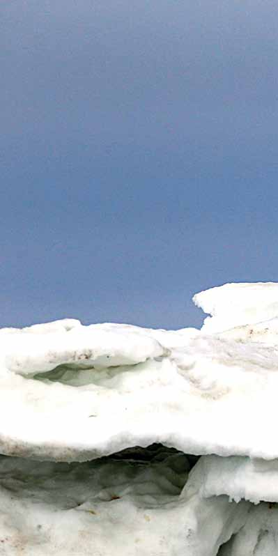 22 SVALBARD NEL REGNO DELL'ORSO POLARE Imponenti ghiacciai, sconfinati altopiani innevati, montagne ripide ed inaccessibili, orsi polari, volpi artiche, foche e trichechi: alle isole Svalbard l'uomo