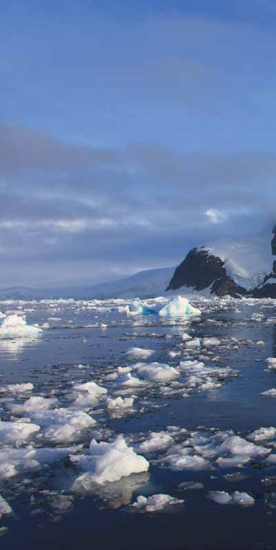 30 ANTARTIDE IL CONTINENTE BIANCO Contrariamente alla zona polare a nord del globo, costituita esclusivamente dall'oceano Artico ricoperto da una spessa coltre di ghiaccio, l'estremo sud