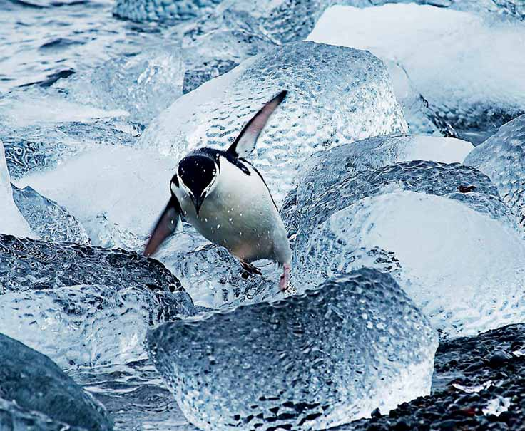 PHOTO: Friedrich Stucke Guest Image 32 L'Antartide è considerato un territorio di interesse scientifico per l'umanità e l'omonimo trattato del 1959 ne consente l'utilizzo esclusivamente per attività
