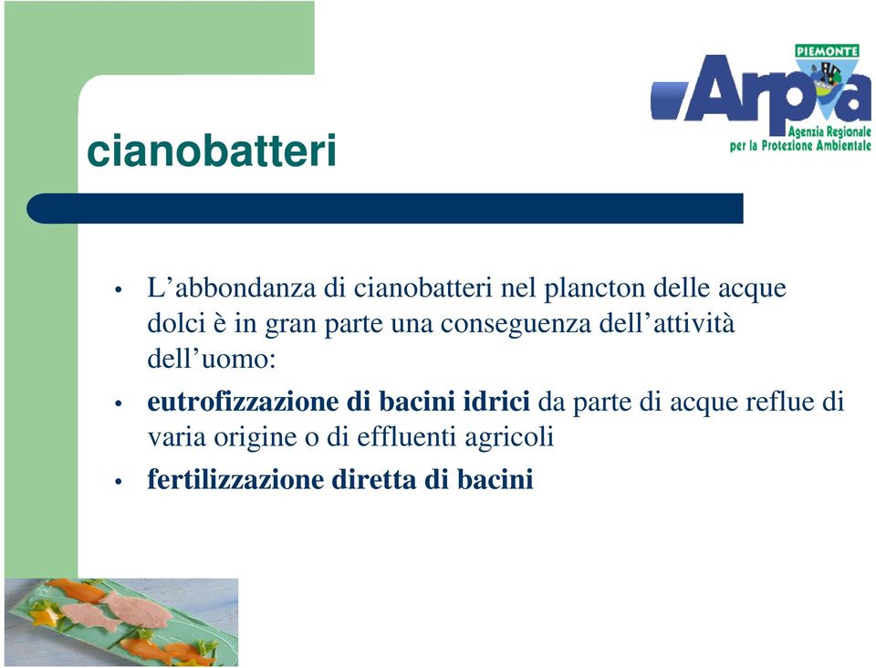 eutrofizzazione di bacini idrici da parte di acque reflue di