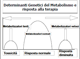 . ancora sulle CYP Complessità: Induzione Inibizione