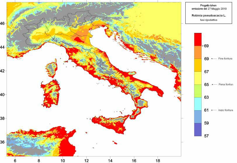 Previsioni sulle risorse nettarifere Robinia