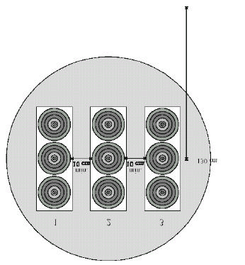 3. TIRO ALLA TARGA AL CHIUSO - VISUALI TRIPLE VERTICALI Art.8.1.1.4.3 4.