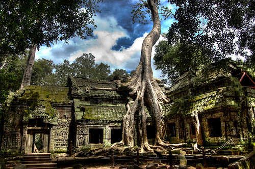 sorprendente struttura formata da 54 torri e che presenta splendidi bassorilievi rappresentanti la vita quotidiana ai tempi dei regni di Angkor e nei quali sono state contate più di diecimila figure