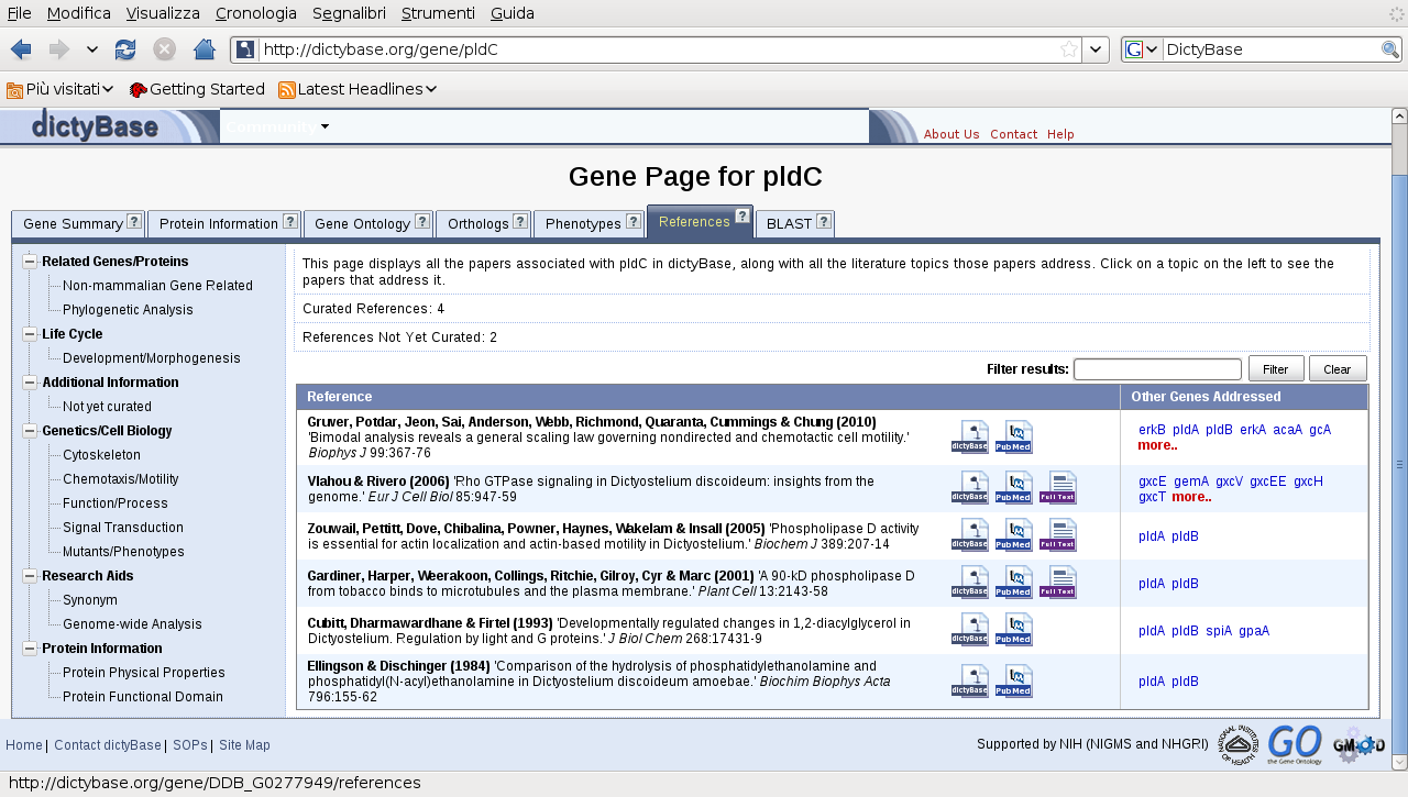 articoli scientifici riguardanti il gene in analisi In DictyBase è possibile anche ottenere i diversi fenotipi che si