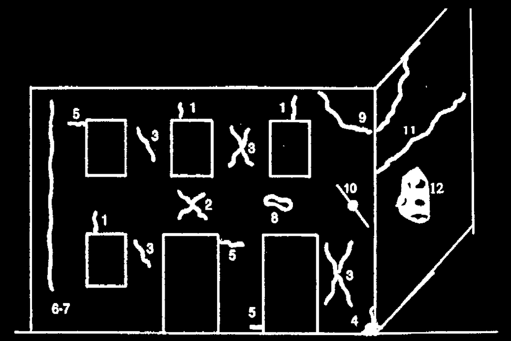 1: Lesioni ad andamento pressoché verticale sulle architravi di aperture; 2: Lesioni ad andamento diagonale nelle fasce di piano (parapetti di finestre, architravi); 3: Lesioni ad andamento diagonale