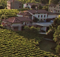 dai tempi in cui i contadini di Saccol, San Giovanni, Santo Stefano e San Pietro - piccole frazioni di Valdobbiadene - si sfi ancavano sui pendii dell aspra collina per mettere a dimora le viti.