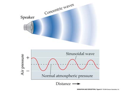 9 Udito: Fisiologia e Psicoacustica 9 Hearing: Physiology and Psychoacoustics La funzione dell udito Cosa è il suono?