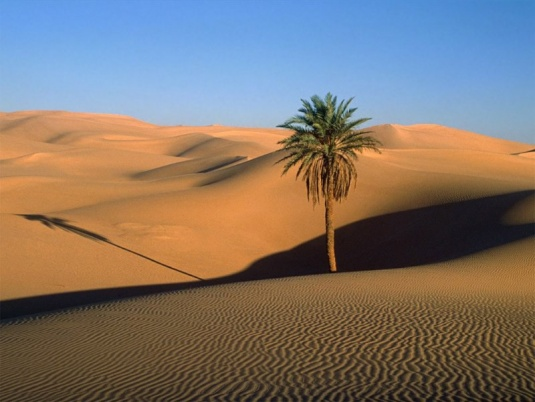 * v. 7-8: Mentre questi se ne andavano, Gesù: Che cosa siete andati a vedere nel deserto?