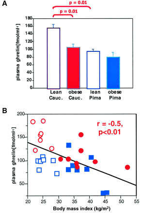 Plasma ghrelin is increased in calorie-restricted states 4000 3000 Moderate CR Rat * 2000 Undernourished Aging * 2000 Anorexia Nervosa * pg/ml 2000 pg/ml 1000 pg /m l 1000 1000 0 Barazzoni