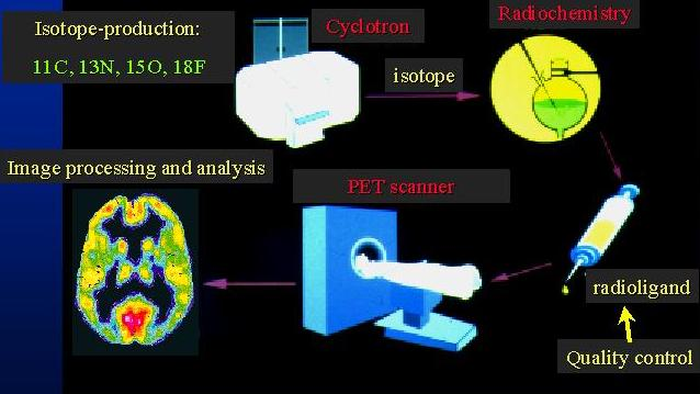 POSITRON EMISSION TOMOGRAPHY (PET) PET is a non-invasive medical imaging technology that shows the biology of disorders at the molecular level before