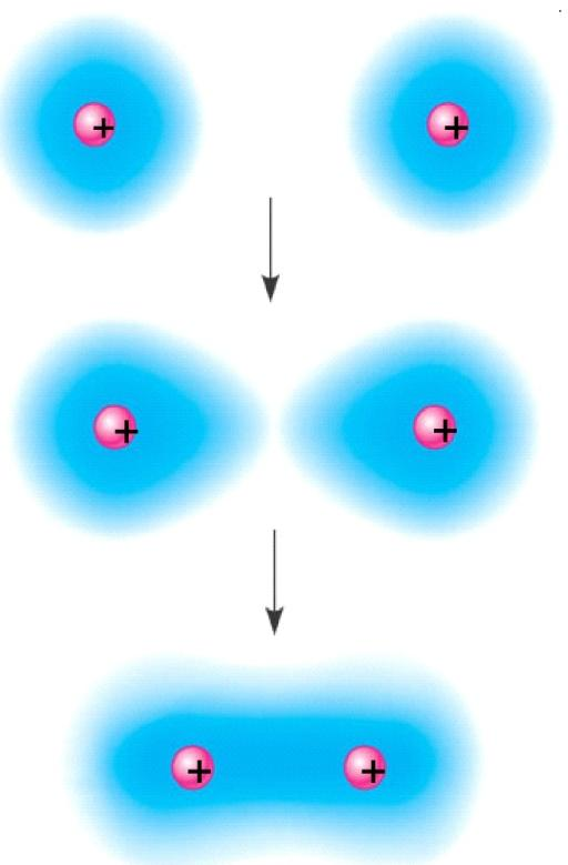 LEGAME COVALENTE Nella configurazione elettronica esterna si definisce: Singoletto o elettrone spaiato Doppietto Il legame covalente si realizza tra due atomi che abbiano nell ultimo livello