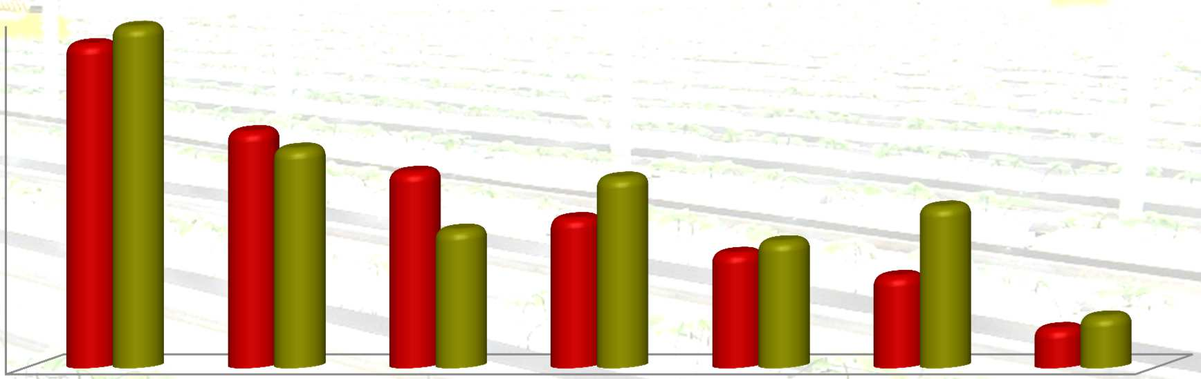 PRINCIPALI OBIETTIVI DELL INNOVAZIONE 60% 56% 59% Zootecnico 50%