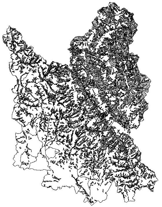 Distribuzione dei boschi nell area forestale n. 14.