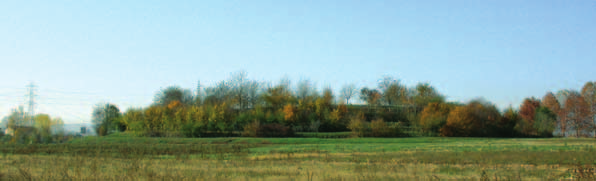 4_CENTRO PER LA BIODIVERSITÀ VEGETALE E IL FUORI FORESTA DI MONTECCHIO PRECALCINO Il Centro per la Biodiversità Vegetale e il Fuori Foresta di Veneto Agricoltura si inserisce nell area di una ex cava