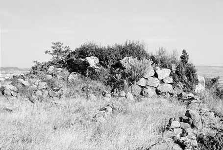 69 - NURAGHE SA MADDALENA Comune - Macomer Località - Coscorella Posizione- IGM Foglio 206 I NO Macomer 40 16 13-3 39 35 Quota - m. 592 s.l.m. Il monumento è posto a circa 600 metri a NE di Macomer, in un area ricca di emergenze archeologiche (Riparo di S Adde, ipogei di Filigosa e di Meriaga, nuraghi S.