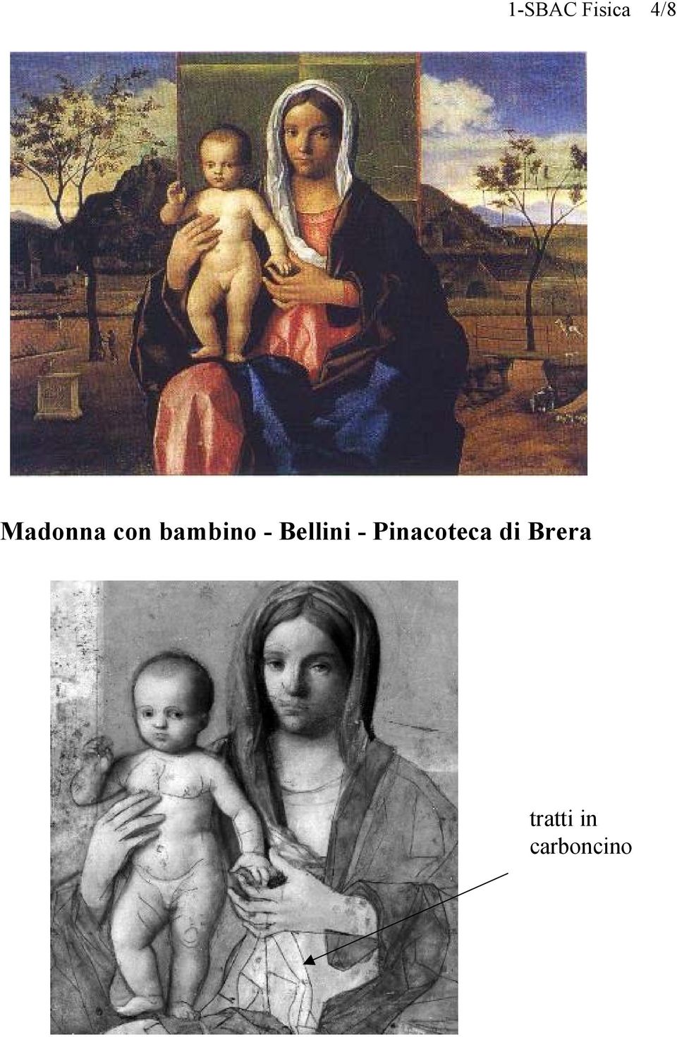 Bellini - Pinacoteca