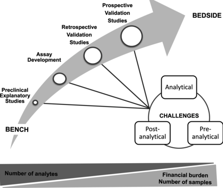 THE BIOMARKER DEVELOPEMENT