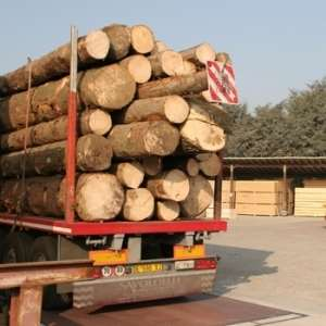 Consiste nell applicazione di misure e procedure miranti a minimizzare il rischio di immissione sul mercato UE di legname illegale e/o prodotti da esso