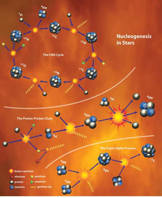 La formazione di tutti gli elementi diversi dall idrogeno e dall elio, fino al ferro, è avvenuta e avviene ancora oggi, nei nuclei delle stelle,