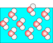 Transizione Liquido-Vapore, o Evaporazione Ad una data temperatura, le molecole di un liquido non posseggono tutte la stessa energia cinetica.