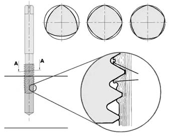 Sezione A-A: forme poligonali differenti Formazione della cresta I maschi privi di gola (maschi a rullare), producono filetti interni senza rimozione di truciolo.