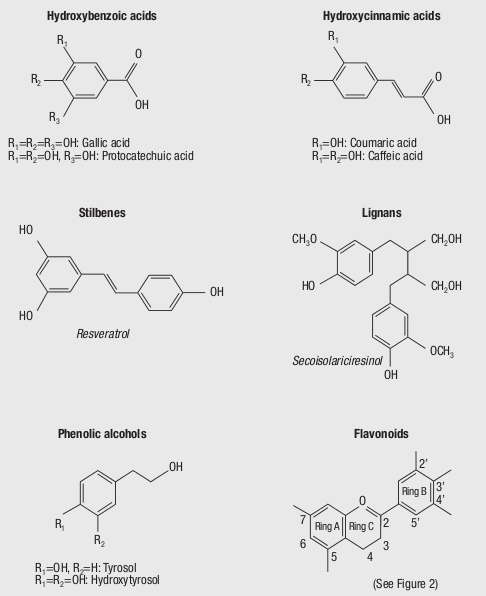 Figura 2.1: Strutture chimiche dei polifenoli.